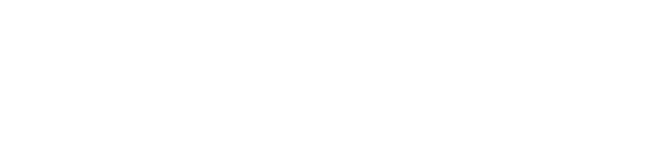 Arcserve Logo White